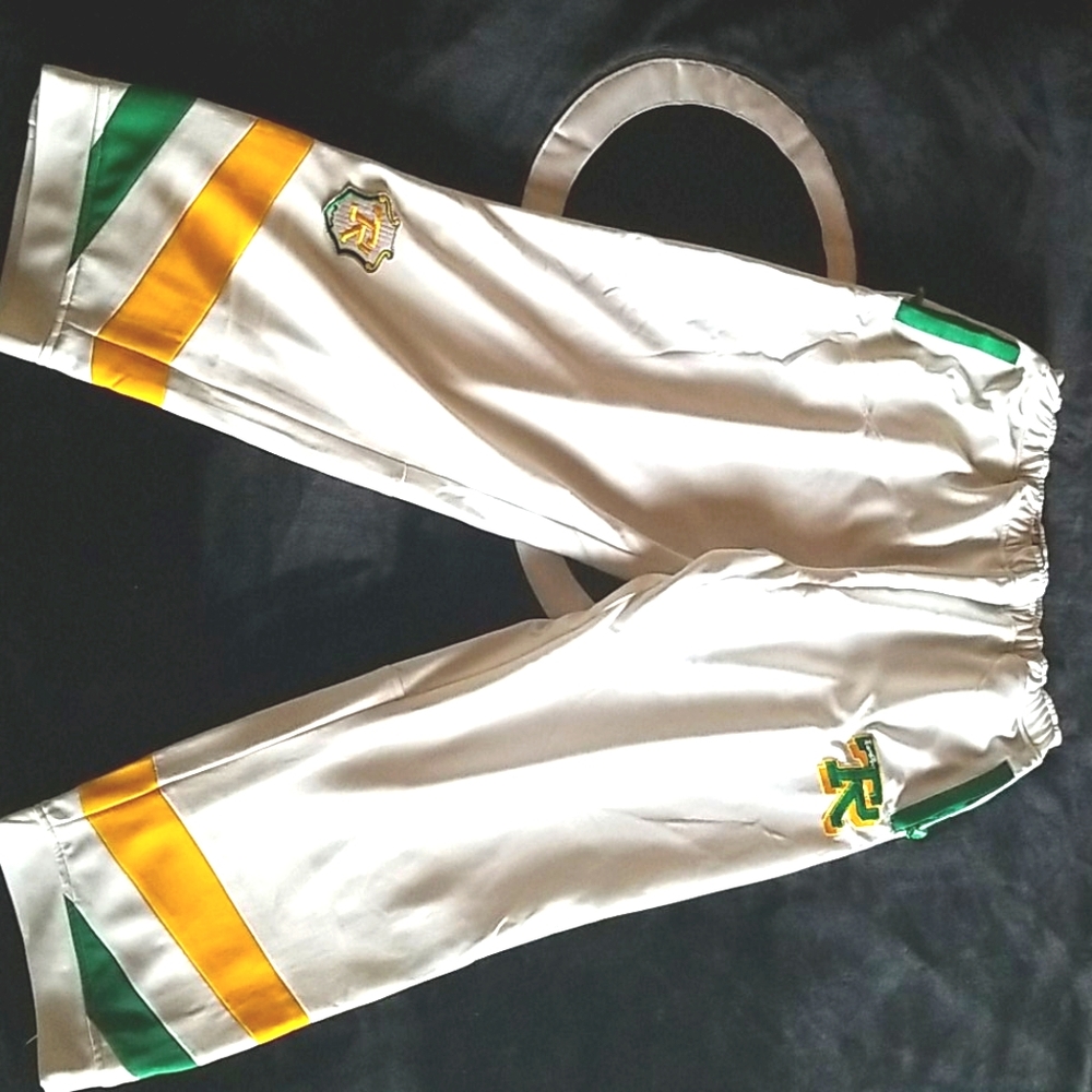 Rocawear Team Roc pants